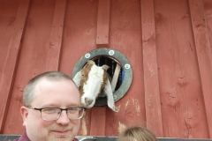 Childrens-Ministry-Trip-to-Fenders-Farm-2022-2