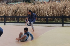 Childrens-Ministry-Trip-to-Fenders-Farm-2022-3